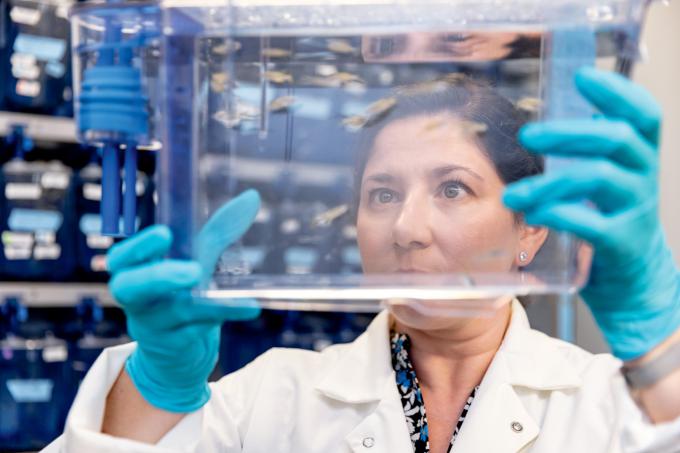 Biological Research In Action