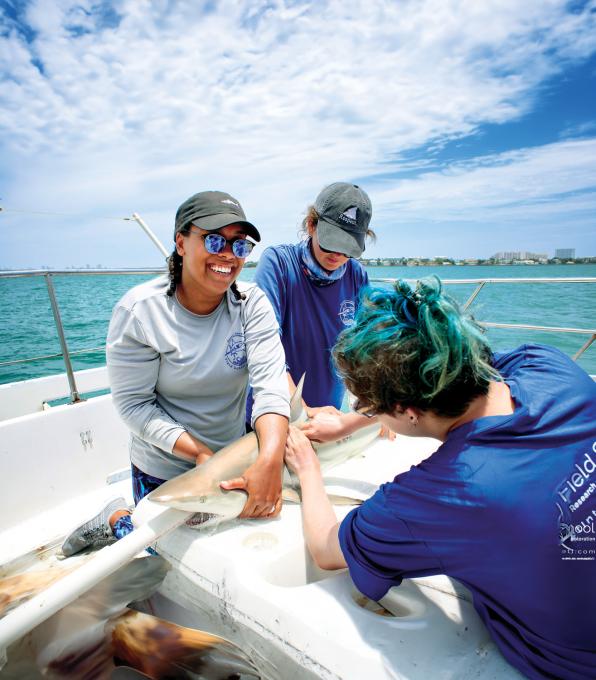 Shark Science